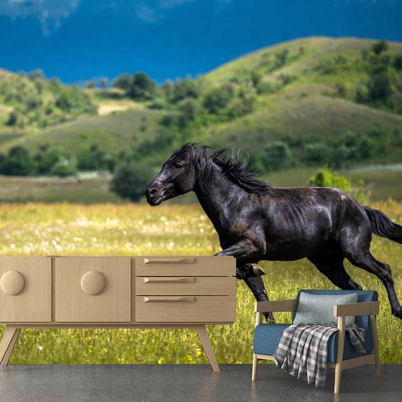 Photography Running Horse Wall Mural Decorative Mildew Resistant for Living Room