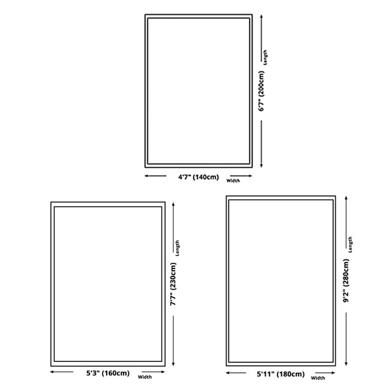 Contemporary Polyester Carpet Washable Indoor Rug Stain Resistant Area Carpet for Living Room