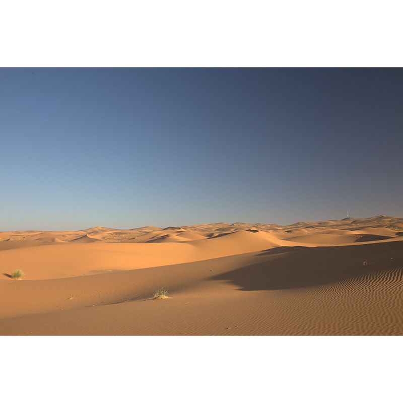 Desert Nature Landscape Wall Murals for Dining Room Wall Decor, Made to Measure