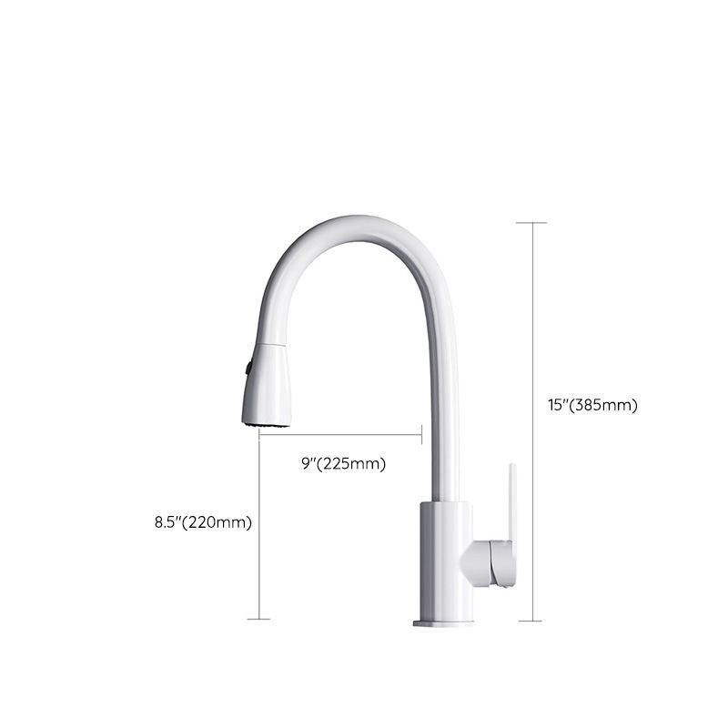 Contemporary Swivel Spout Standard Kitchen Faucet with Pull Down Sprayer