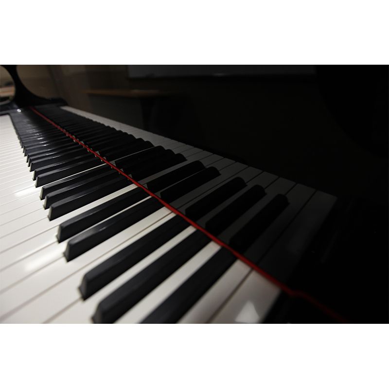 Piano Photography Mural Decorative Environment Friendly Wall Covering