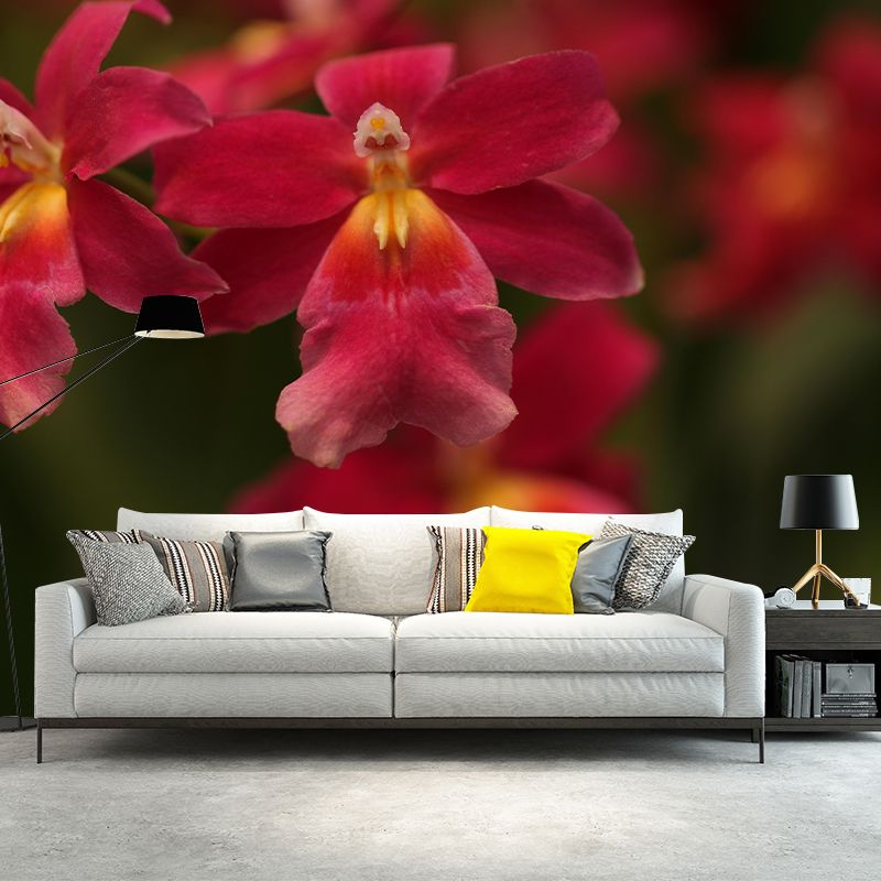 Customized Orchid Mural Wall Covering Decorative Mildew Resistant for Living Room