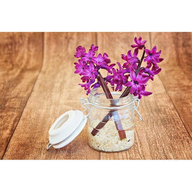 Hyacinths Flower Wall Mural Photography Horizontal Modern Living Room Wall Covering