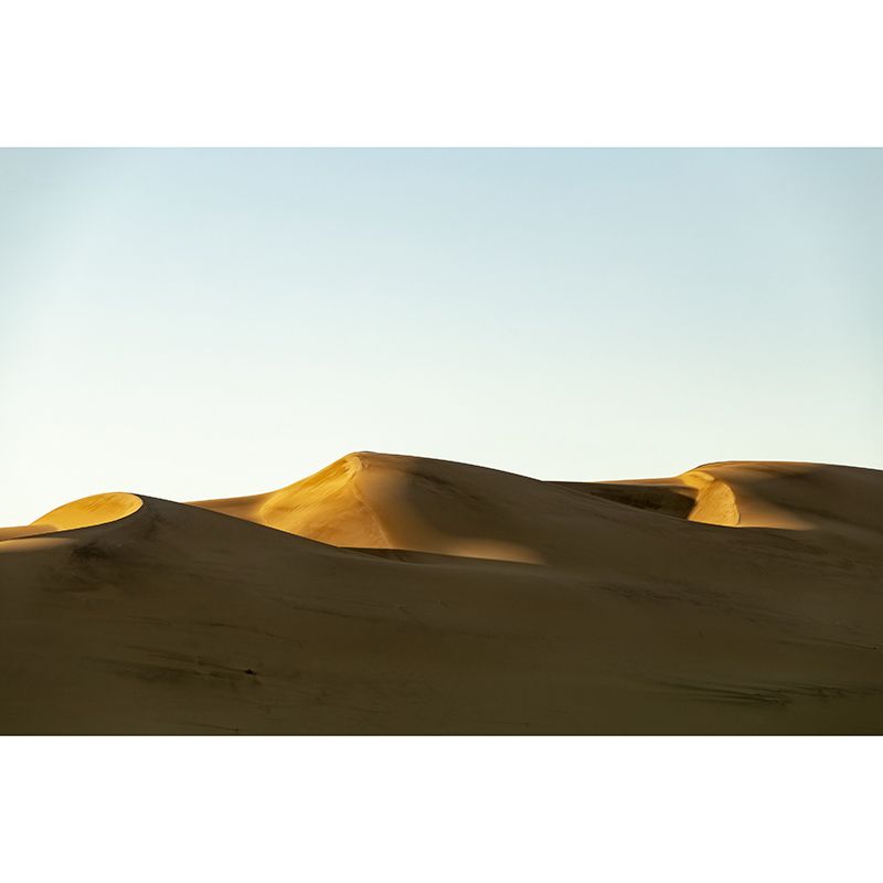 Environmental Photography Mural Wallpaper Desert Landscape Indoor Wall Mural