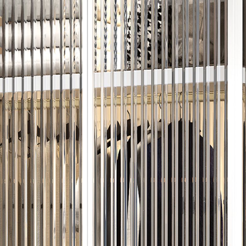 Contemporary Tempered Glass Wardrobe Armoire Freestanding Wardrobe with Shelves