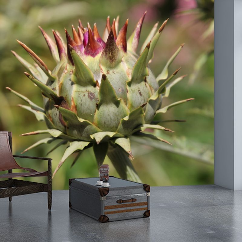 Artichoke Wall Mural for Reading Room Bedroom Decoration, Personalized Size