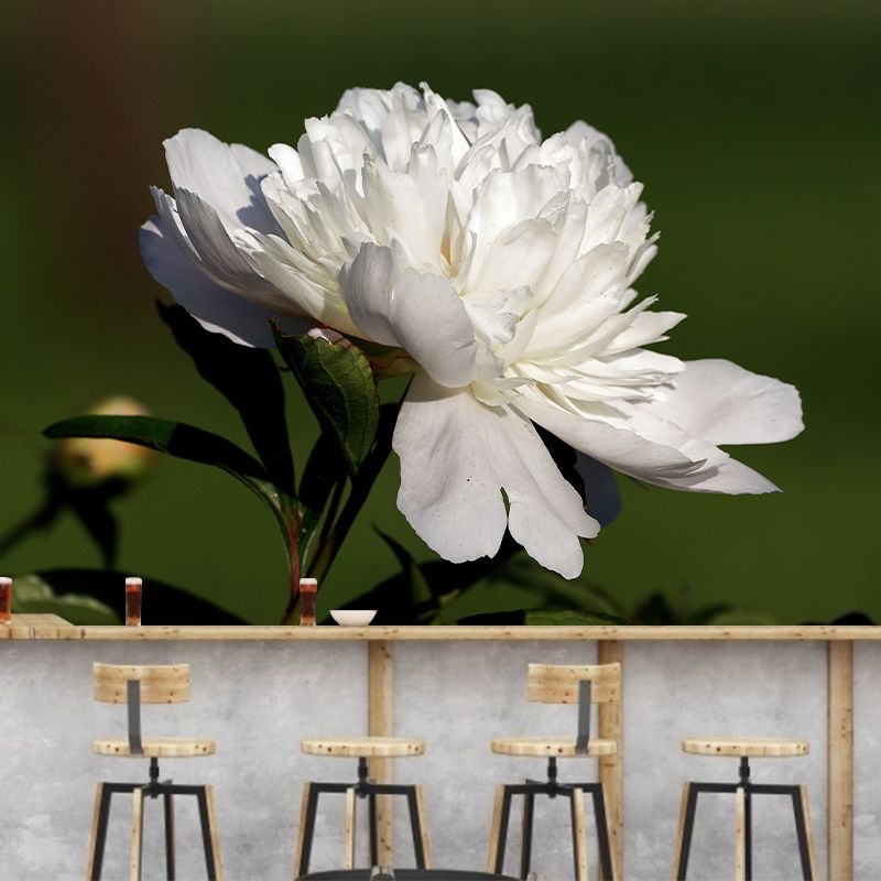 Delicate Peony Houses Mural Decal for Girls' Bedroom, Moisture Resistant