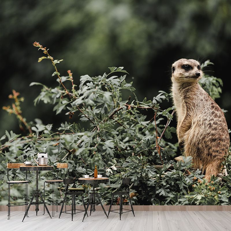 Customized Meerkat Wall Mural Horizontal Photography for Sleeping Room Decoration