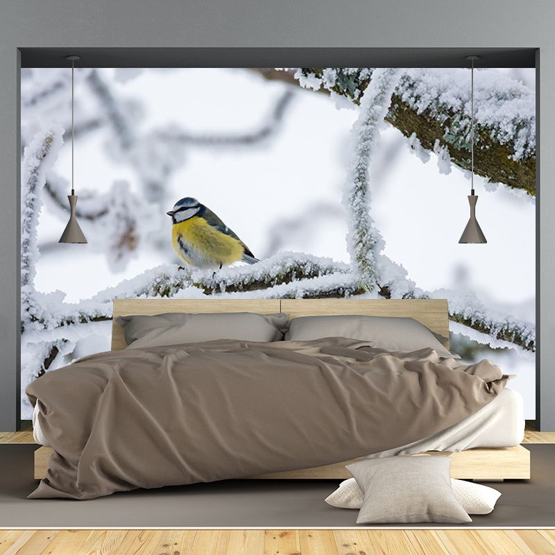 Lovely Blue-Tit Mural Wallpaper Photography Horizontal Wall Decor for Home