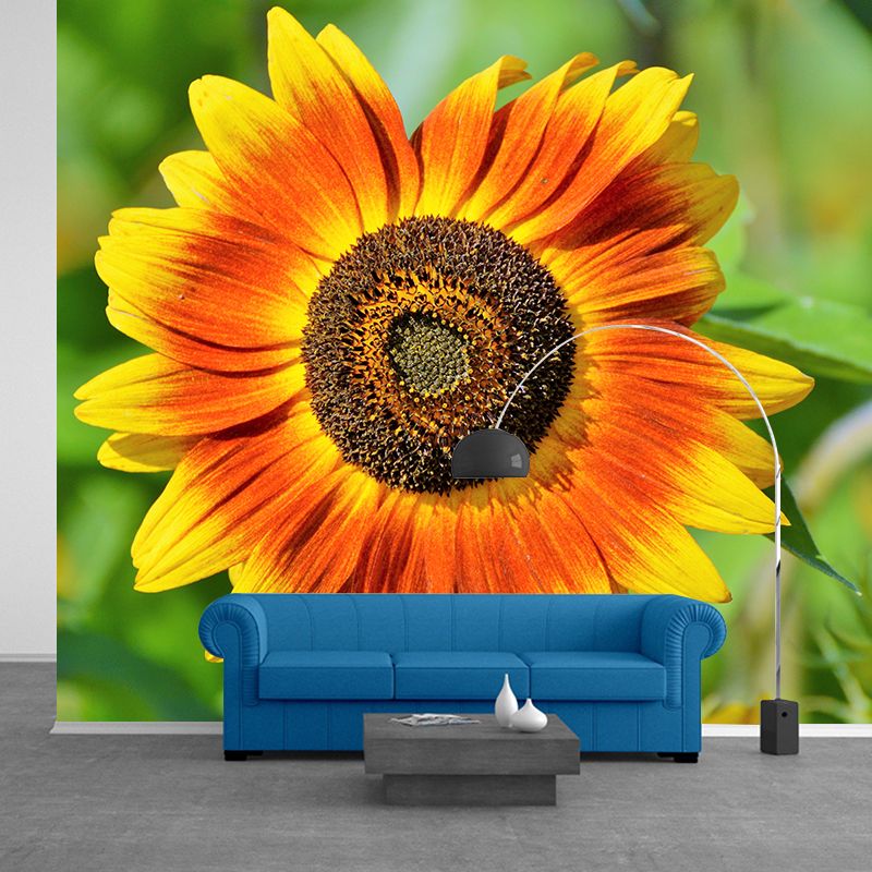 Sunflower Wall Covering for Living Room Flower Mural, Moisture-Resistant