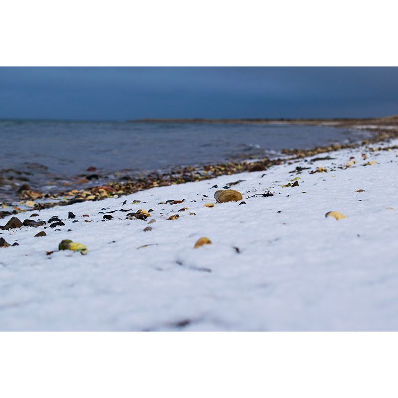 Sea Beach Mildew Resistant Mural Wallpaper Indoor Wall Mural