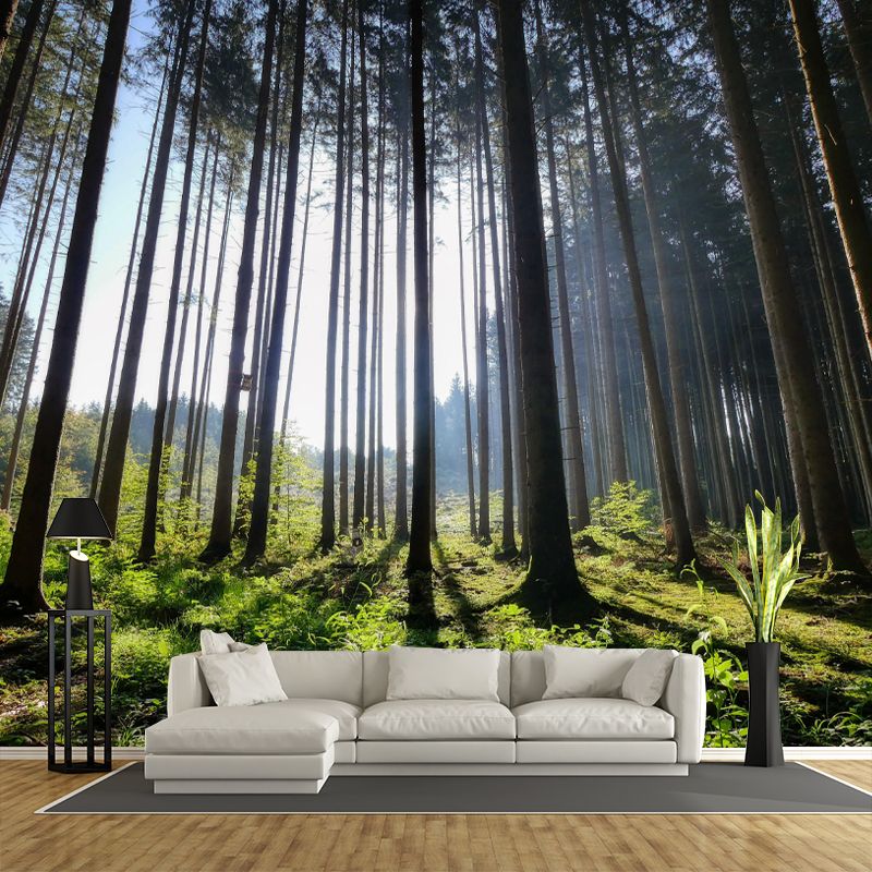 Huge Forest Mural Horizontal Photography Wall Covering for Dining Room