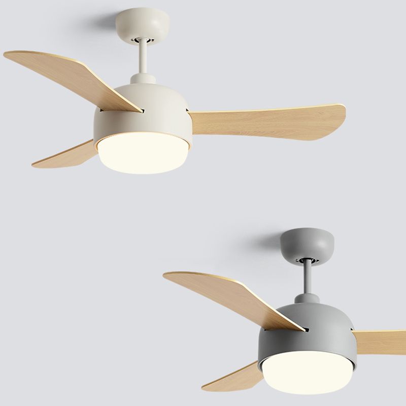 Modern Style Ceiling Fan Lamp Metal 1 Light Ceiling Fan Lighting for Study
