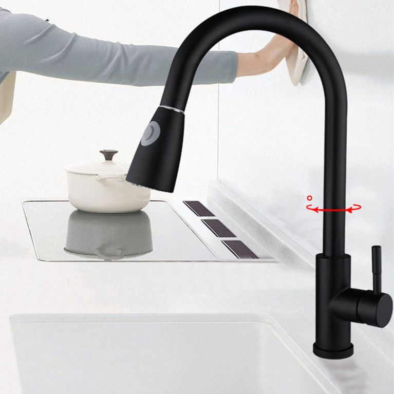 Contemporary Spray Kitchen Faucet Pulldown Sprayer Bridge Faucet