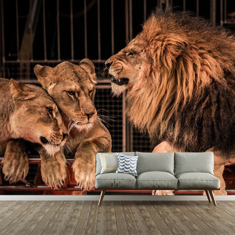 Brown Modern Wallpaper Mural Large Male Lion with Its Wives Wall Art for Bedroom