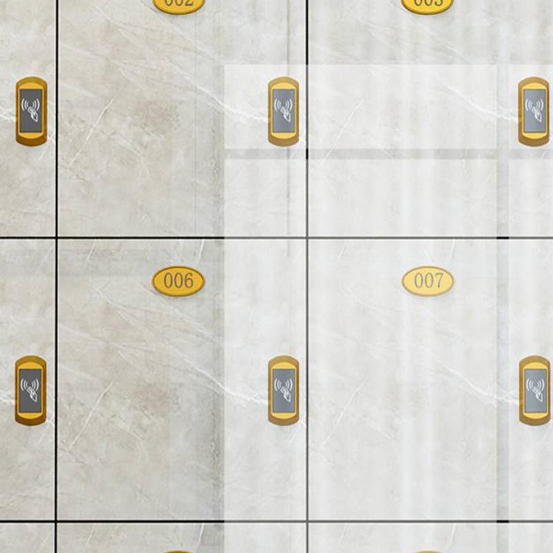 Modern Mirrored Finish Non-Hanging Armoire Manufactured Wood Storage Cabinet