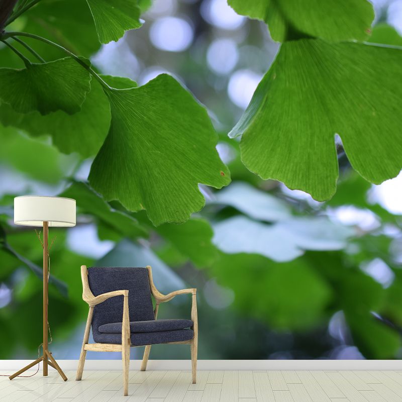 Ginkgo Biloba Mural Wallpaper Contemporary Wall Covering for Sitting Room