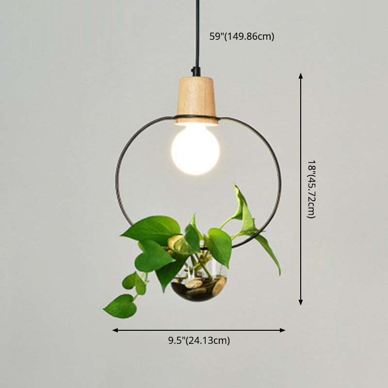Lampada a sospensione con soffitto ad anello in metallo geometrico moderno 1 lampada da interno appesa alla luce senza botanica