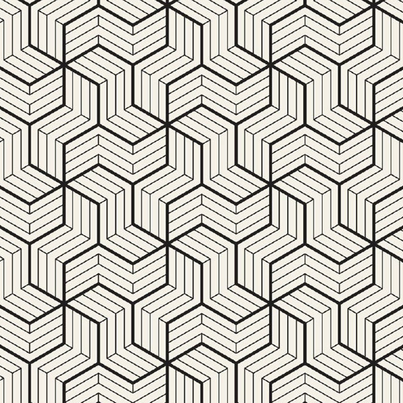 Matrix Wall Paper Murals Black-White Contemporary Wall Art for Bedroom, Customized Size