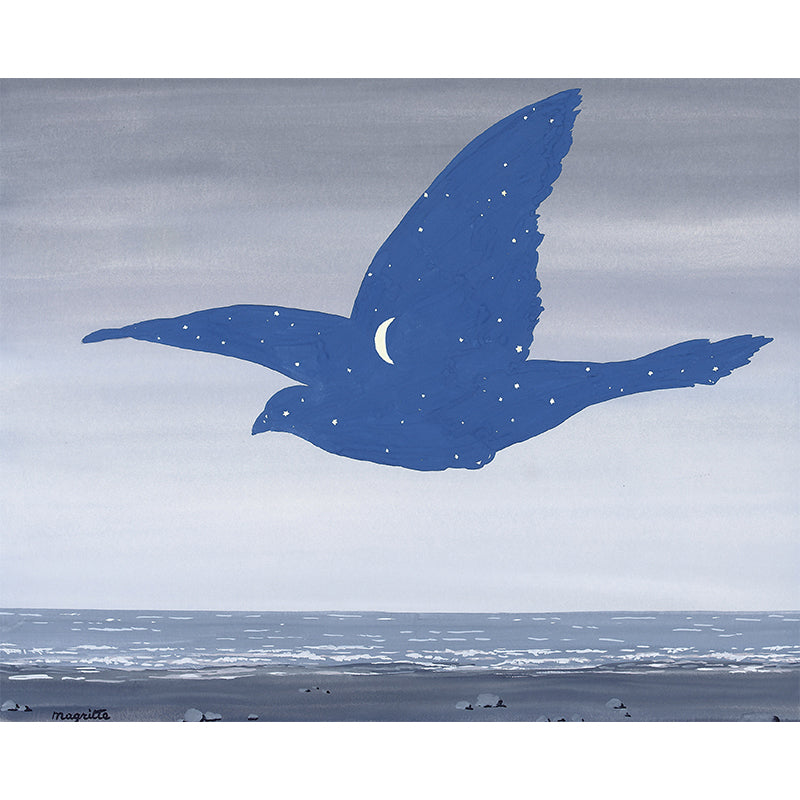 Surrealistic Sea Gull Wallpaper Murals Grey-Blue Moisture Resistant Wall Covering for Bedroom