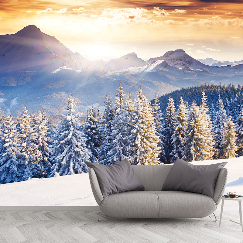 Custom Photography Modern Mural with Sunset at Snowy Pine Forest Pattern in Blue-Brown