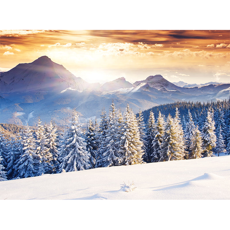 Custom Photography Modern Mural with Sunset at Snowy Pine Forest Pattern in Blue-Brown