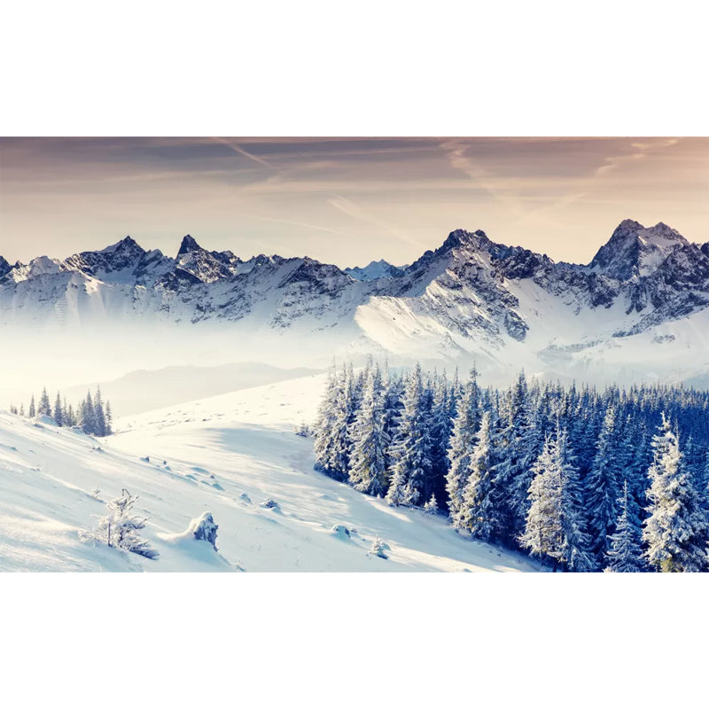 Grey-White Modern Wall Murals Full Size Snowy Pine Trees and Mountain Wall Art for Home