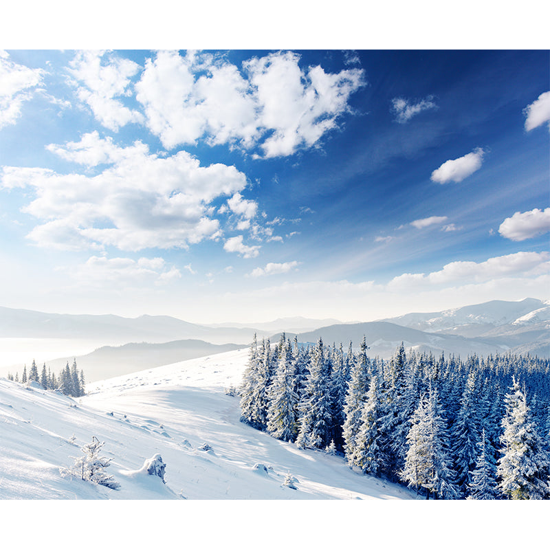 Modern Snowy Pine Forest Mural Wallpaper Blue-White Waterproof Wall Art for Living Room