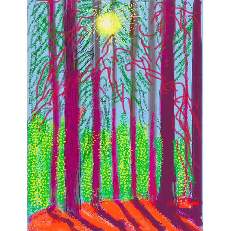 Purple-Green Forest Sunrise Mural Wallpaper Stain Resistant Wall Art for Living Room
