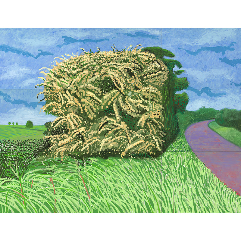 Artistry Wheat Pile Wallpaper Murals Blue-Green Hockney Still Life Drawing Wall Decor