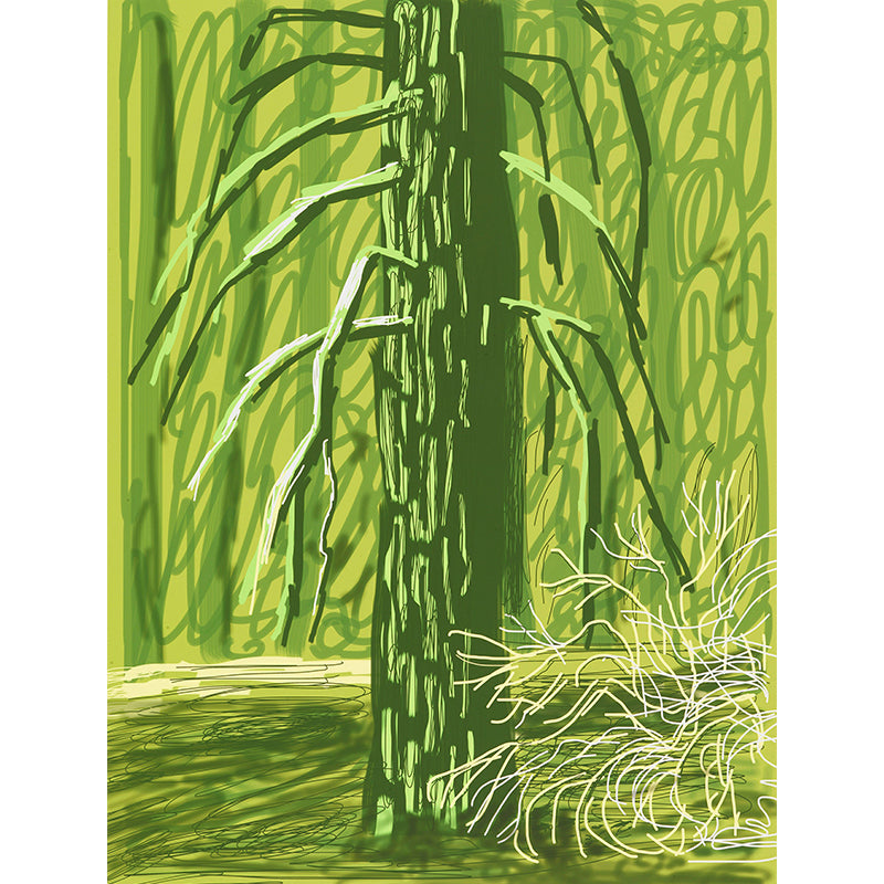 Bare Tree Trunk Wall Murals Artistry Stain Resistant Bedroom Wall Decoration, Custom Made