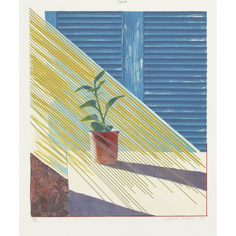 Yellow-Blue Art Wall Mural Decal Huge Sunshine on Pot Plant Drawing Wall Decoration for Home