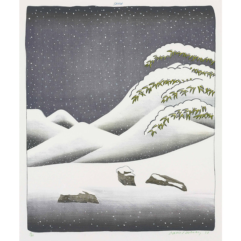 Art Snowing Mountain Landscape Murals Grey-Green Stain Resistant Wall Decor for Home