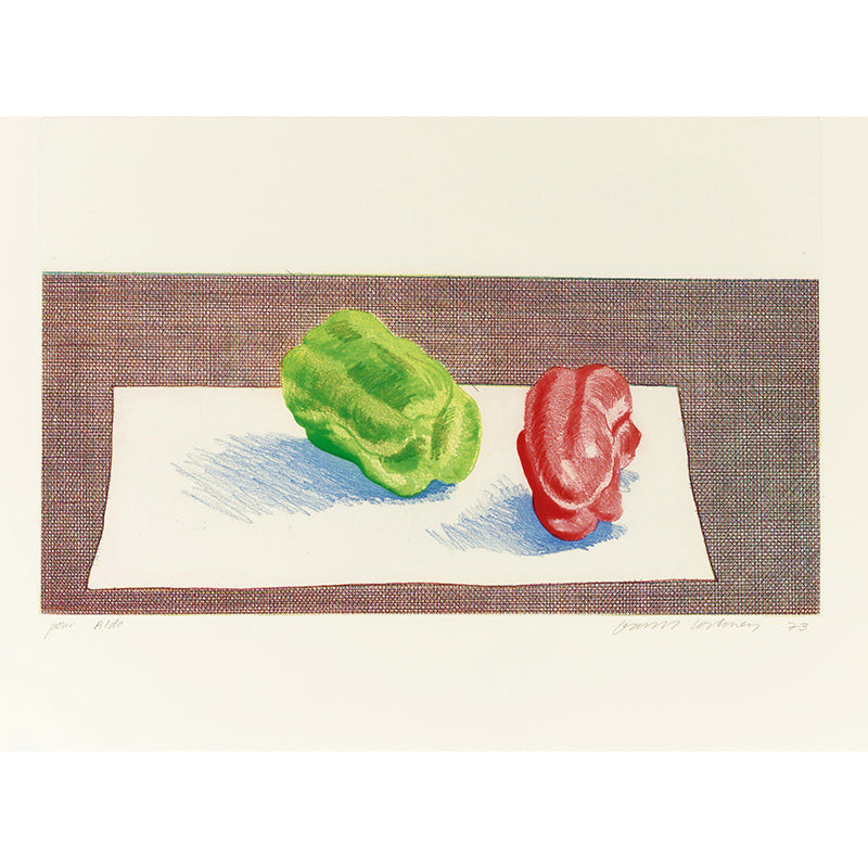 Whole Bell Pepper Drawing Mural Decal Artistic Still Life Wall Decoration in Red-Green
