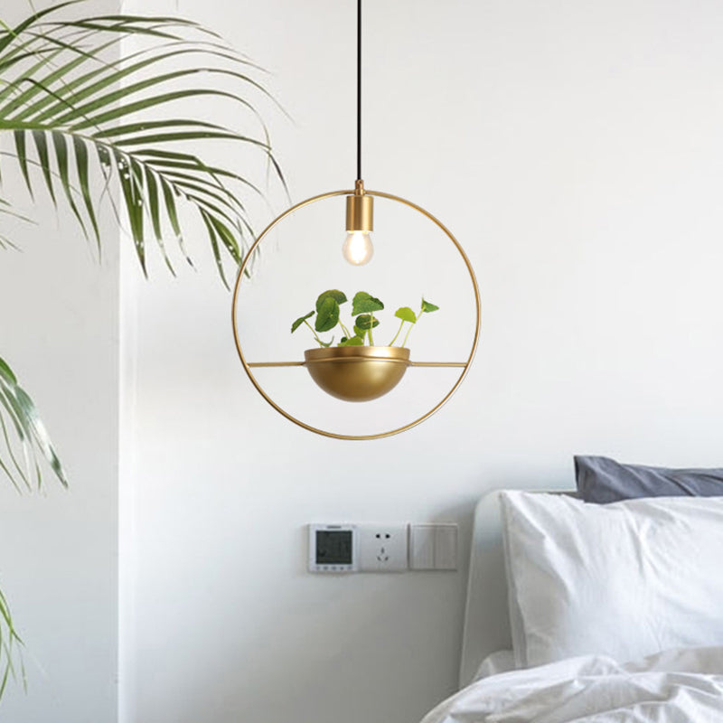 Gold Circular Hanging Light Fixture Factory Iron 1-Head Dining Room Plant Pendant Lighting