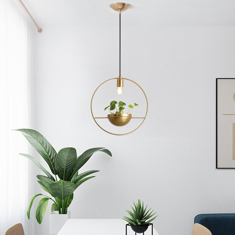 Gold Circular Hanging Lighture Factor Factory Iron 1 Head Comedor de comedor Iluminación colgante de planta