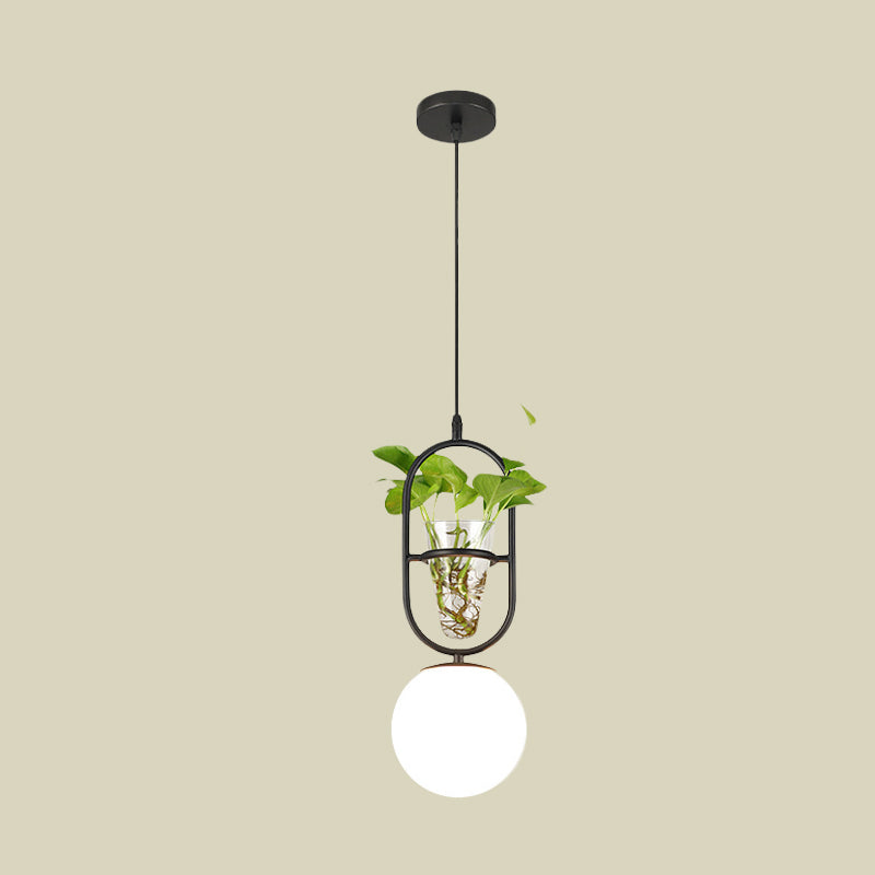 Elliptical Iron Pendant Lamp Loft 1 Light Bedroom Hanging Light in Black/Grey/Gold with Sphere Cream Glass Shade and Plant Cup