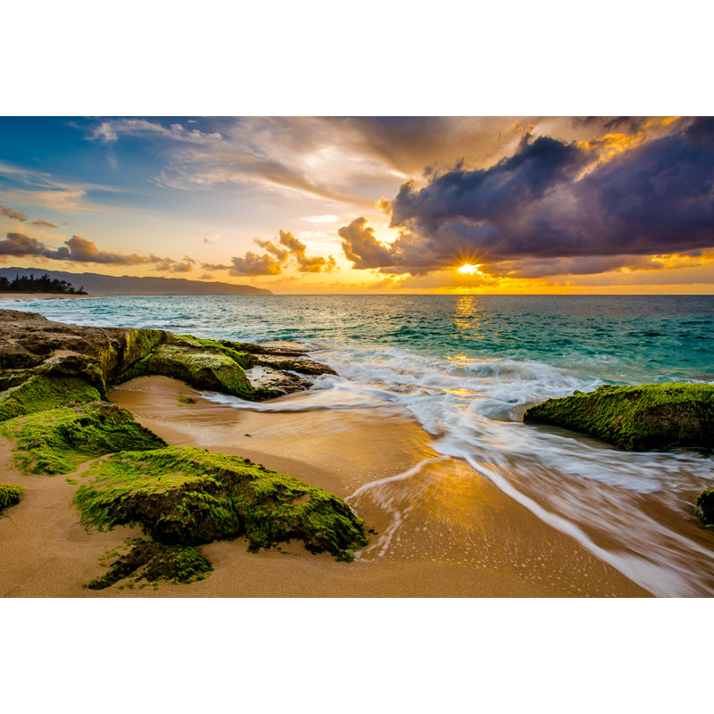 Sunset Moss Sea Rock Mural Tropical Non-Woven Cloth Wall Covering in Yellow-Green