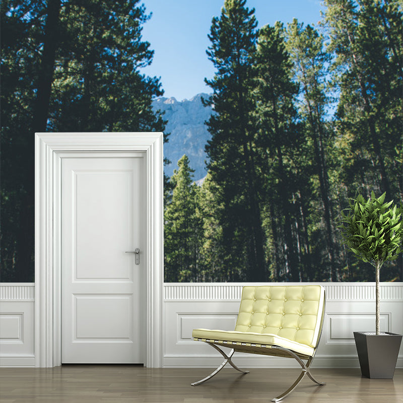Green Roadside Pine Trees Mural Wallpaper Stain Resistant Wall Covering for Bedroom