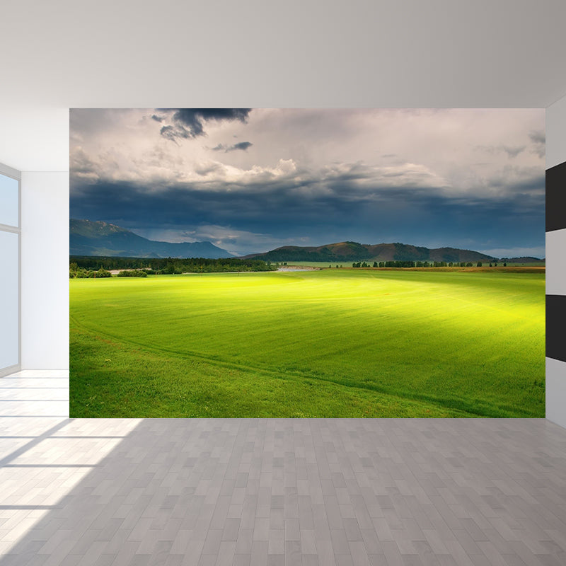 Non-Woven Waterproof Mural Modern Meadow with Moving Cloud Scenery Wall Decor in Green