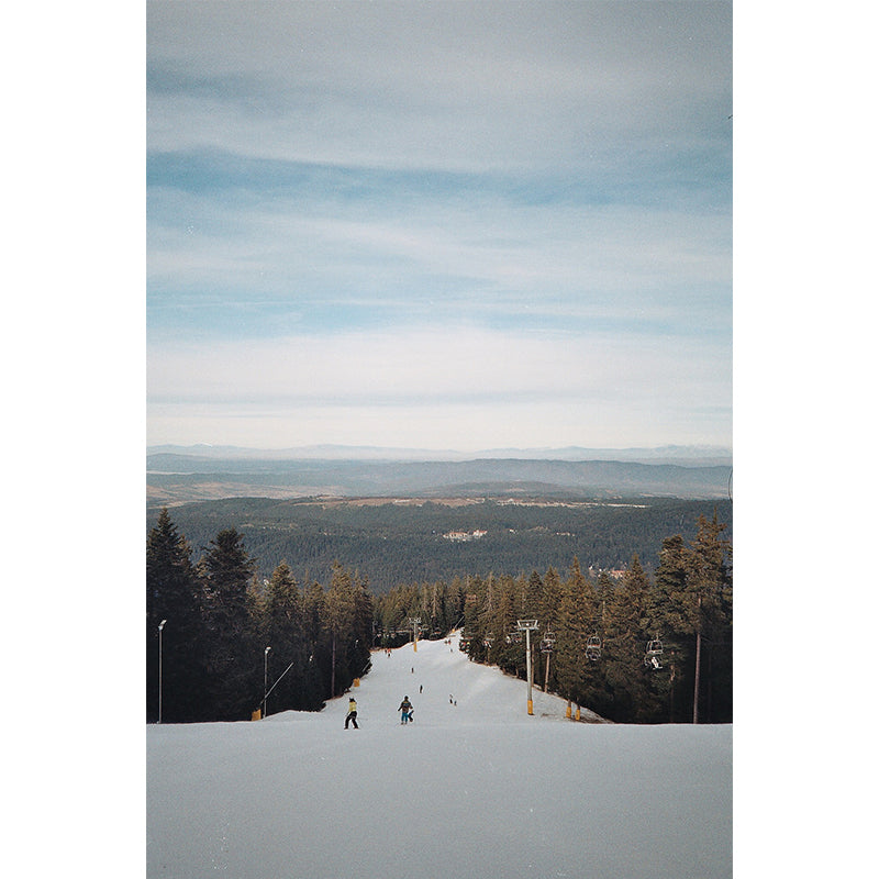Blue Modernist Wall Mural Decal Huge Snow Ramp with Roadside Pine Trees Wall Art for Bedroom