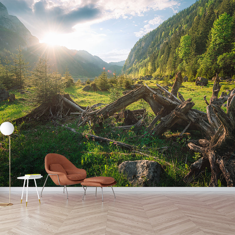 Modern Withered Tree Trunk Mural Green Sunrise Mountain Landscape Wall Art for Living Room