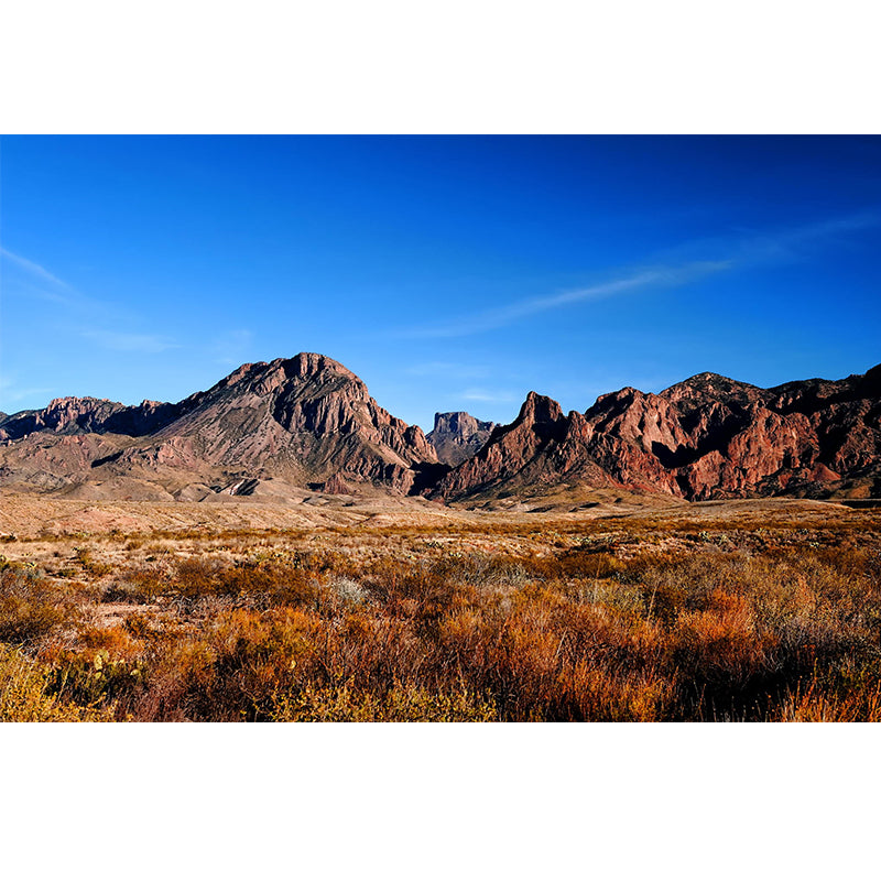 Modern Scenery Wall Mural Brown Mountain with Meadow in Fall Wall Decoration for Home