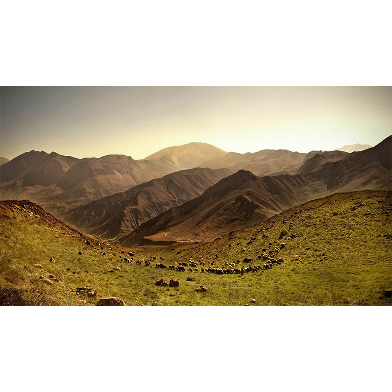 Non-Woven Stain Resistant Mural Modern Herd of Sheep in the Mountains Wall Art in Brown
