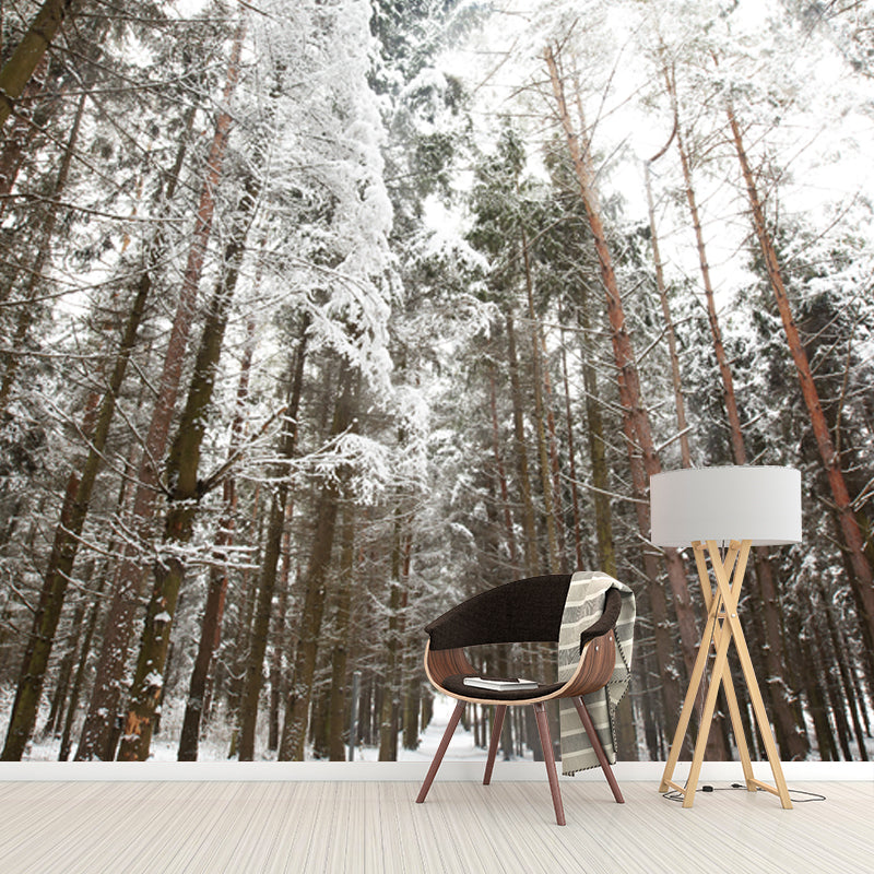 Brown Modern Art Mural Full Size Looking Up to Snow Forest Wall Covering for Living Room