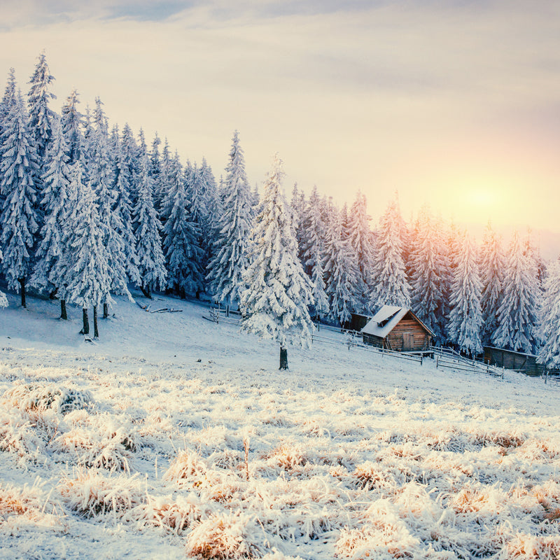 Whole Snow Mountainside Cabin Mural Brown Non-Woven Wall Covering, Washable, Custom Size