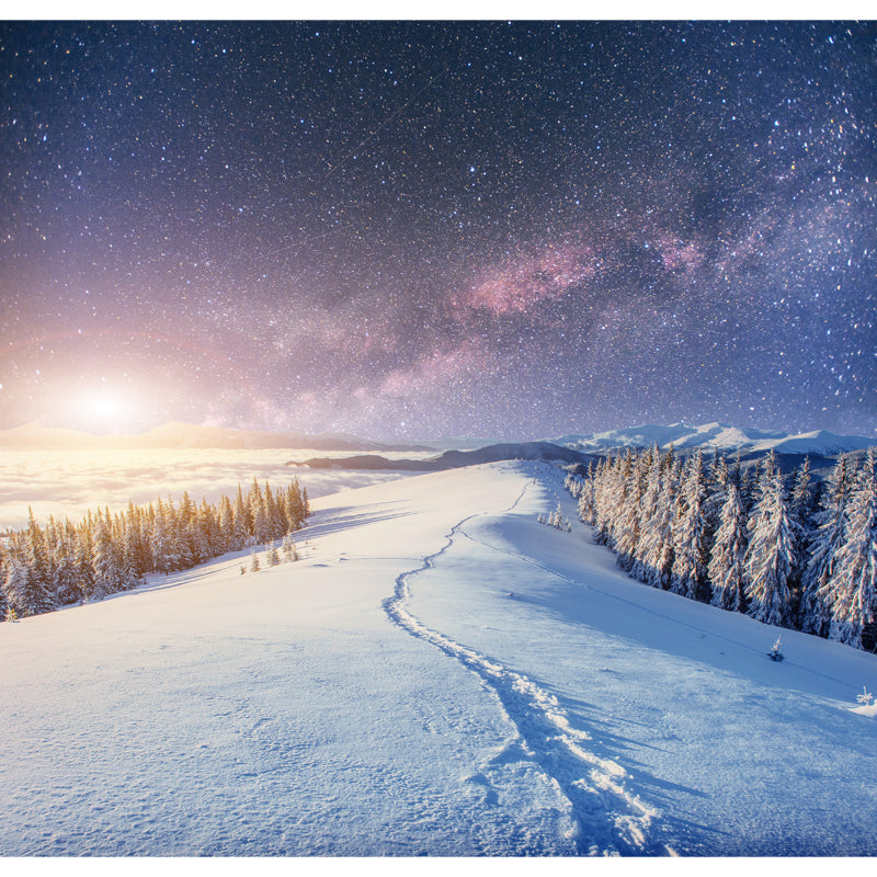 Big Snowy Cypress Road Mural Stain-Resistant Nordic Living Room Wall Art in Blue