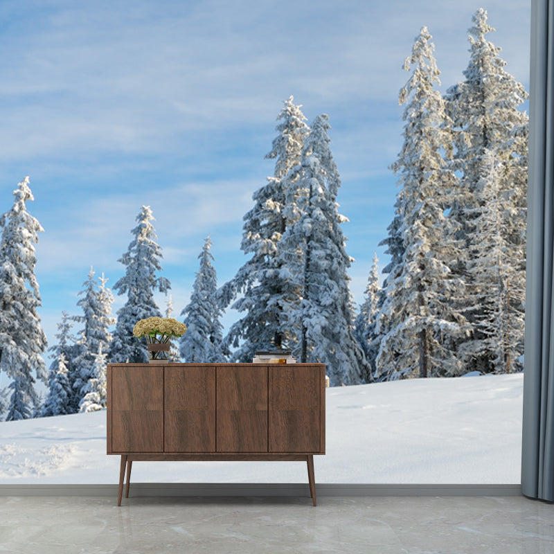 Photography Snowfield Cypress Mural Full-Size Wall Decor Above Bed, Personalized Size