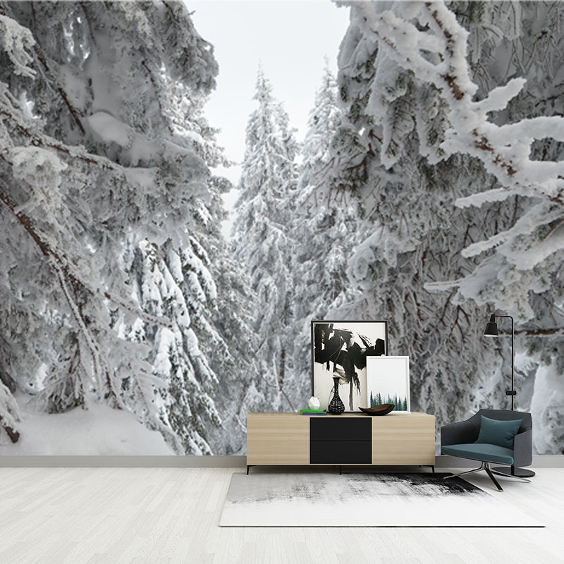 Cypress Forest after Snowfall Mural Grey Scandinavian Wall Covering for Accent Wall