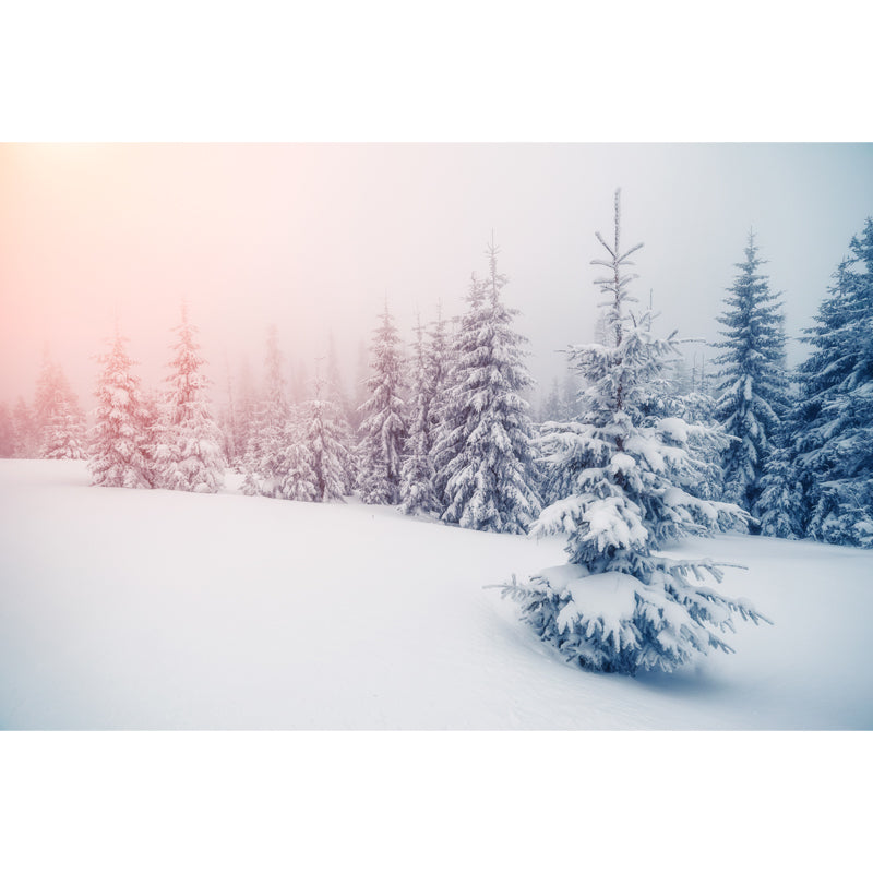 White Foggy Snow Land Mural Wallpaper Water-Resistant Wall Covering for Living Room